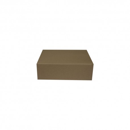 Caja Troquelada - 21 X 24 X 08 cm