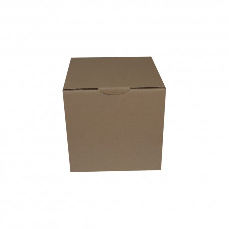 CAJA TROQUELADA 250X250X250 MARRON