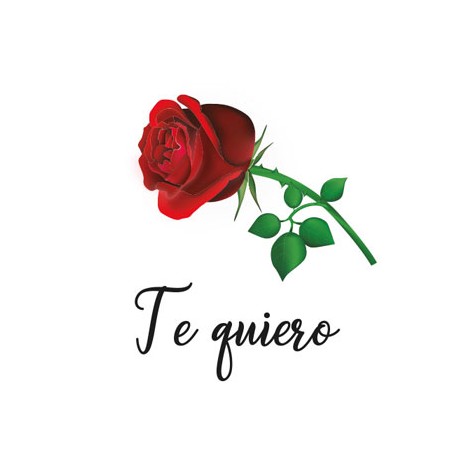 ETIQUETA "TE QUIERO ROSA"