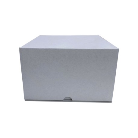 CAJA TROQUELADA 20X18X12 BLANCA