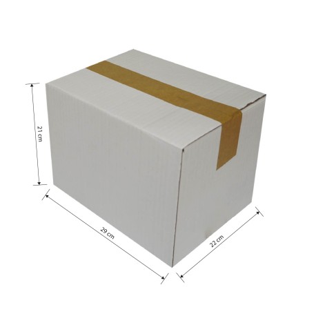 Caja de Envío - 29 X 22 X 21 cm