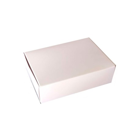 CAJA10T 100X140X40 mm