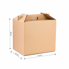 CAJA PARA LOTE CON ASA 350X250X380