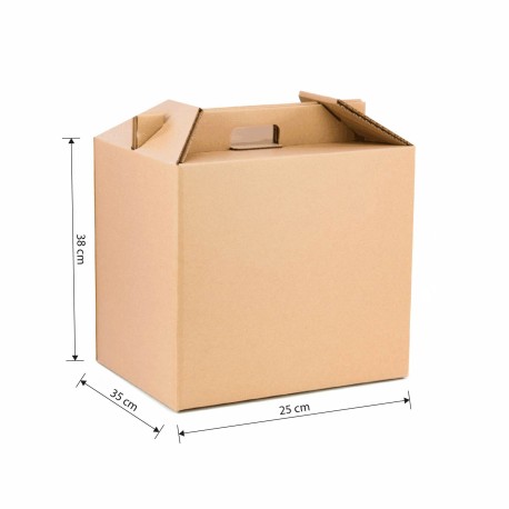 CAJA PARA PICNIC CON ASA 350X250X380